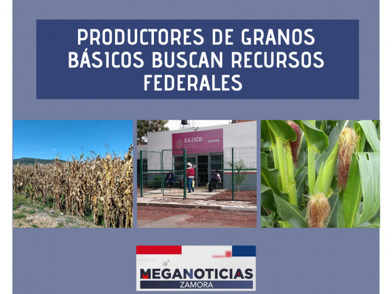 Sigue abierto programa de apoyos para productores de granos básicos