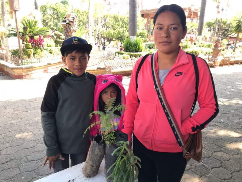 Sigue campaña adopta un árbol en Tangancícuaro