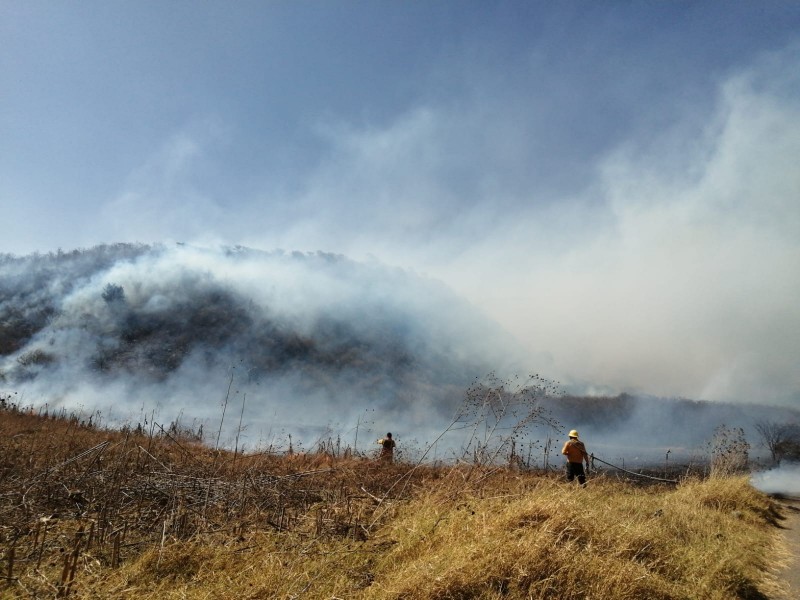 Sigue combate a incendios en Altas Montañas de Veracruz