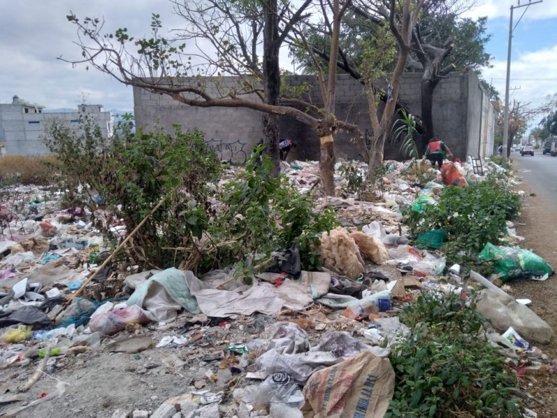 Sigue creciendo tiradero Camino Viejo, basura llega a vía pública