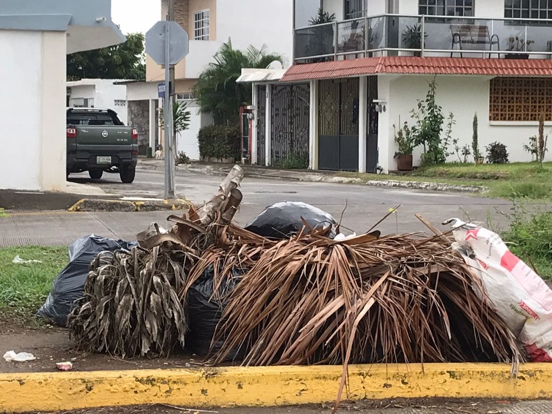 Sigue el problema de basura en Medellín de Bravo