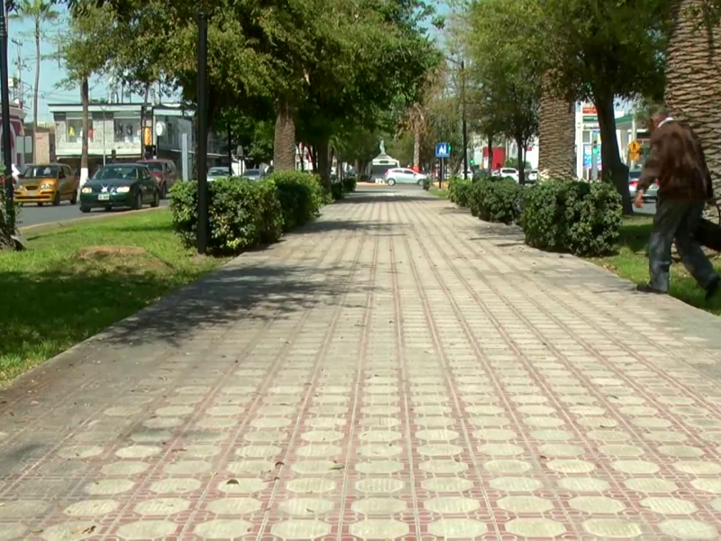 Sigue firme proyecto de remodelación de Calzada Colón