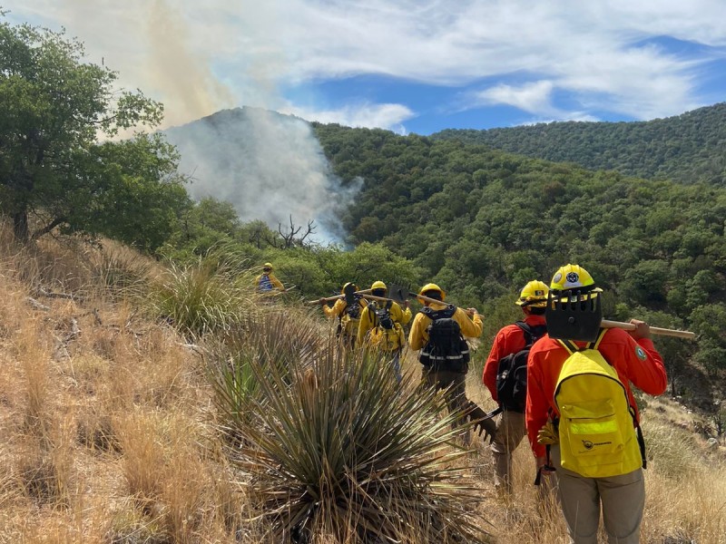 En Sonora siguen intensos los incendios forestales