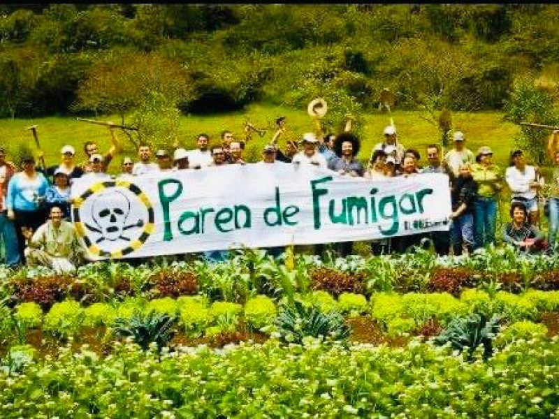 Sigue la lucha contra agrotóxicos en campos agrícolas