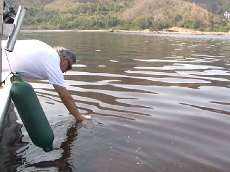 Sigue presente en aguas colimenses la marea roja no tóxica