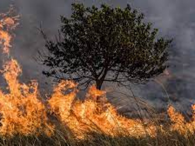 Siguen aumentando cifras en casos de incendios forestales