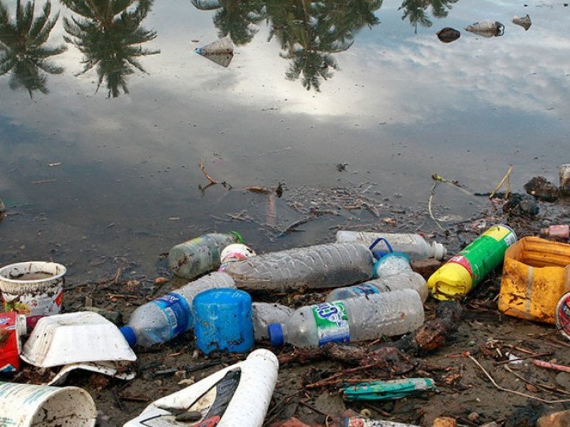 Siguen contaminando plásticos de un solo uso