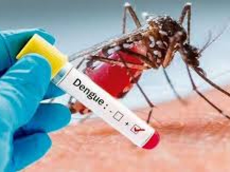Siguen en aumento casos de Dengue y Zika en Veracruz