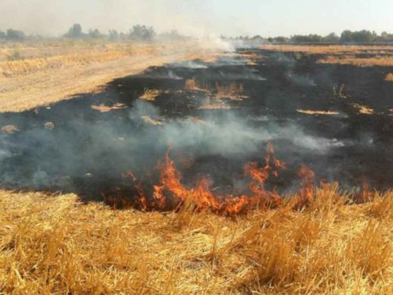 Siguen en aumento los incendios de pastizales en Zamora