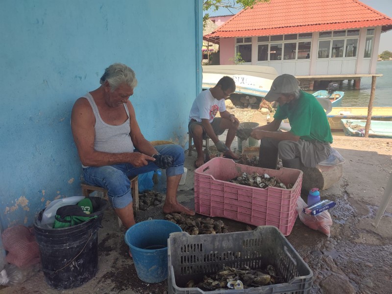 Siguen en espera del recurso de Bienpesca en Tuxpan