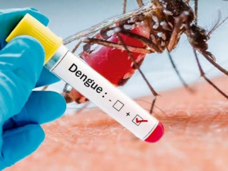 Siguen en incremento casos de dengue en Jalisco