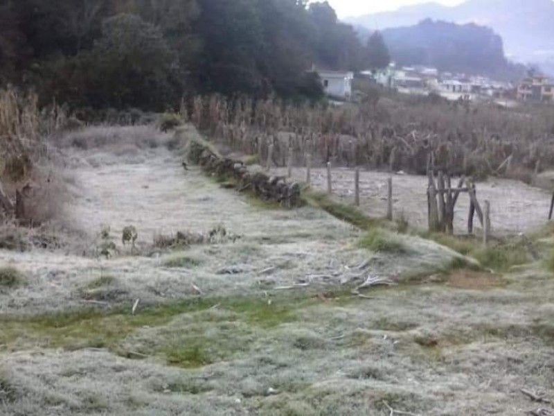 Siguen las heladas en San Cristóbal