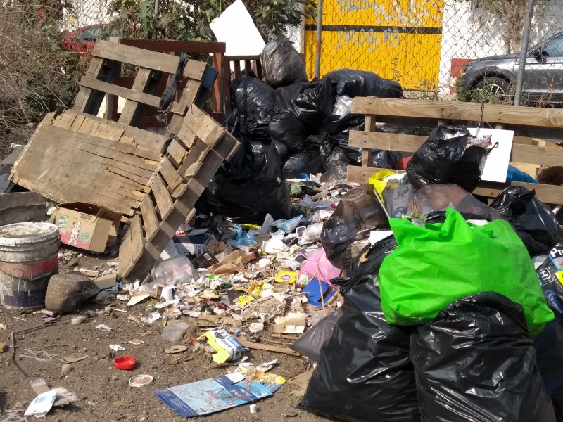 Siguen problemas de basura en Carrillo