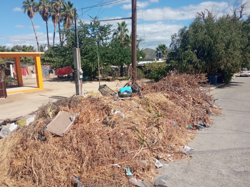 Presencia de ramas y cacharros afecta el servicio de recolección