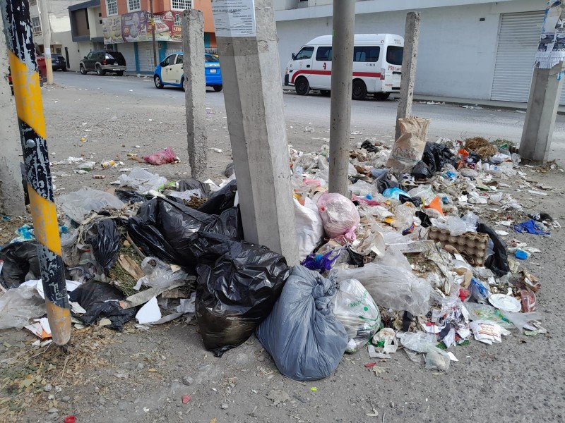 Siguen surgiendo tiraderos en La Purísima, calle Josefa