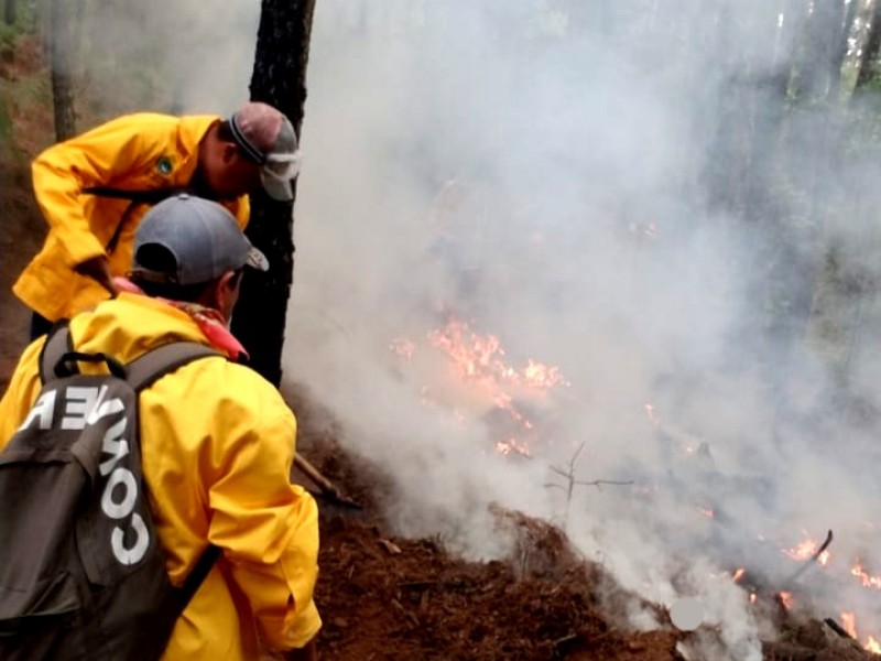 Siguen trabajos para sofocar incendio en Cotija