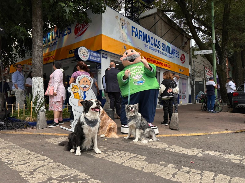 SimiPet Care ofrecerá atención veterinaria gratis a animales rescatados
