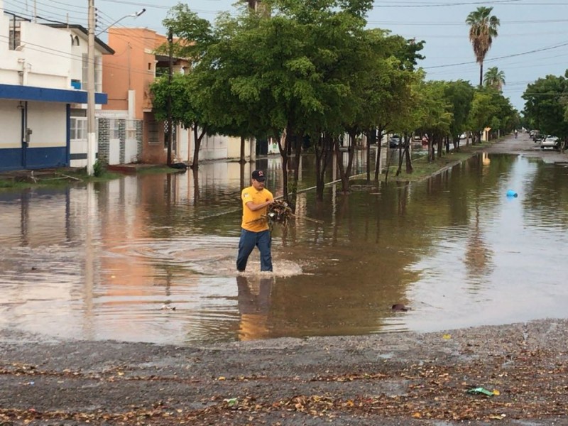 Sin afectaciones mayores por lluvia en Ahome