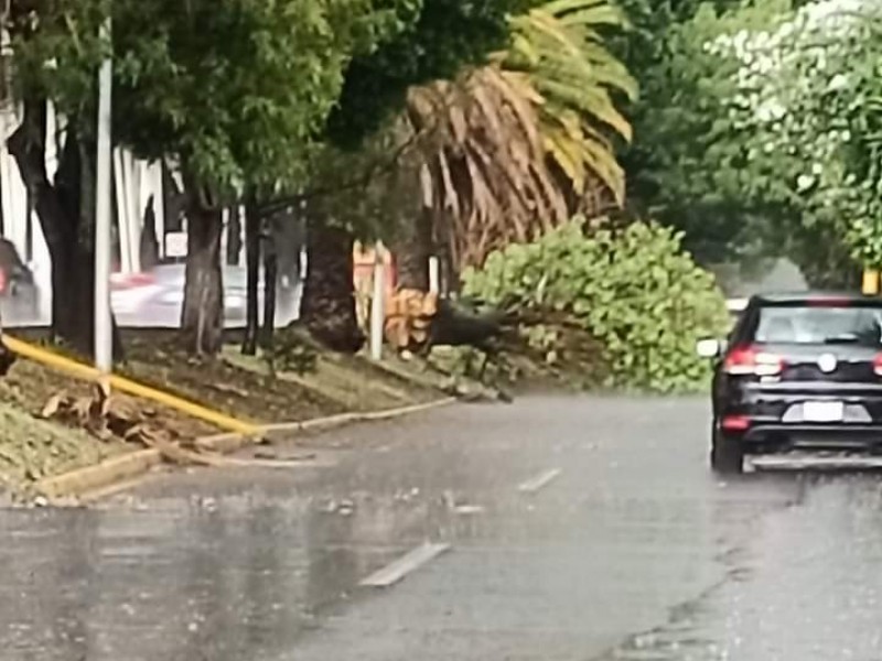 Sin afectaciones por lluvias en Puebla y municipios