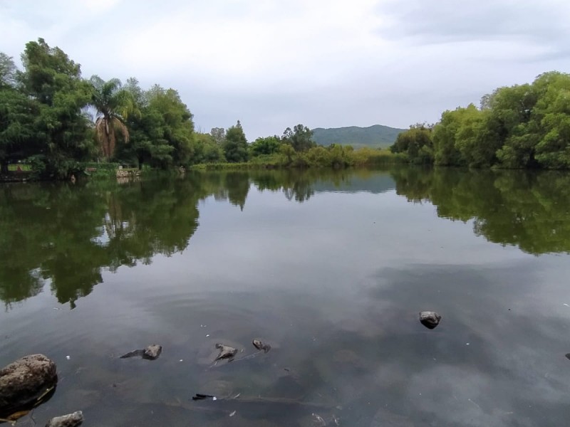 Sin afectaciones por sequía humedal del parque ecológico