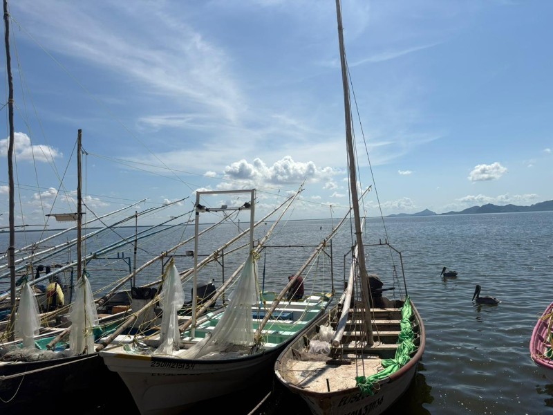 Sin apoyos de Bienpesca y bajas capturas, pescadores enfrentan crisis