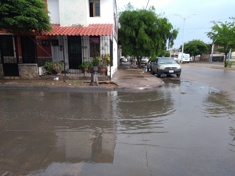 Sin atenderse brote de aguas negras en Infonavit Macapule