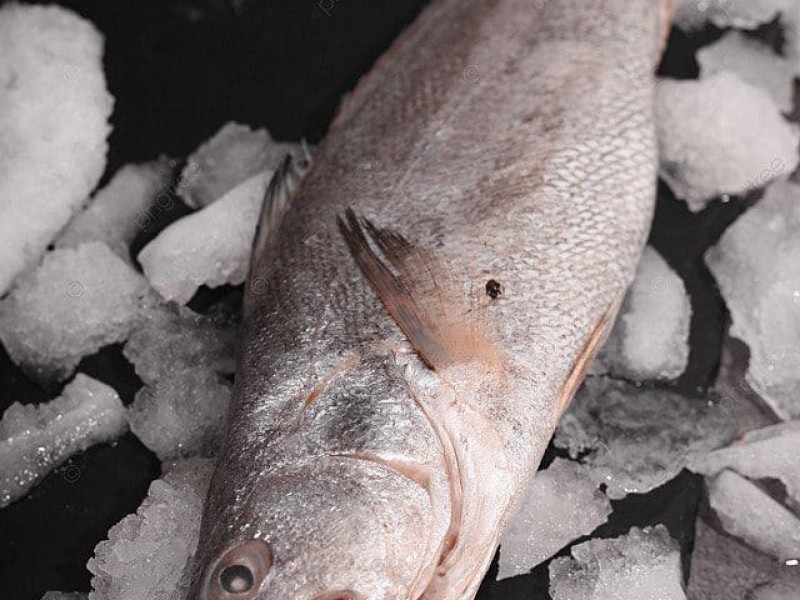 SIN AUMENTO ÉL ROMERO Y PESCADO POR DÍAS SANTOS