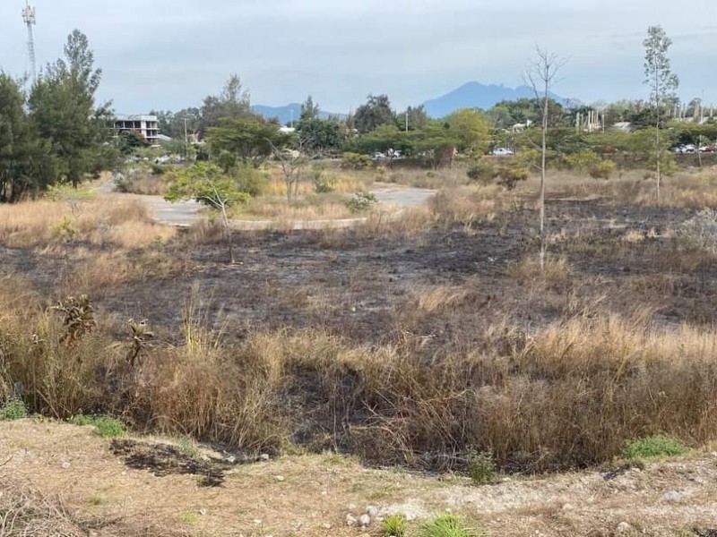 Sin avanzar reconversión en Parque de la Dignidad