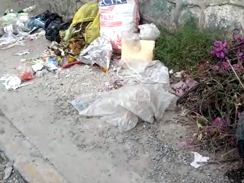 Sin botes de basura en colonia Constitución Mexicana