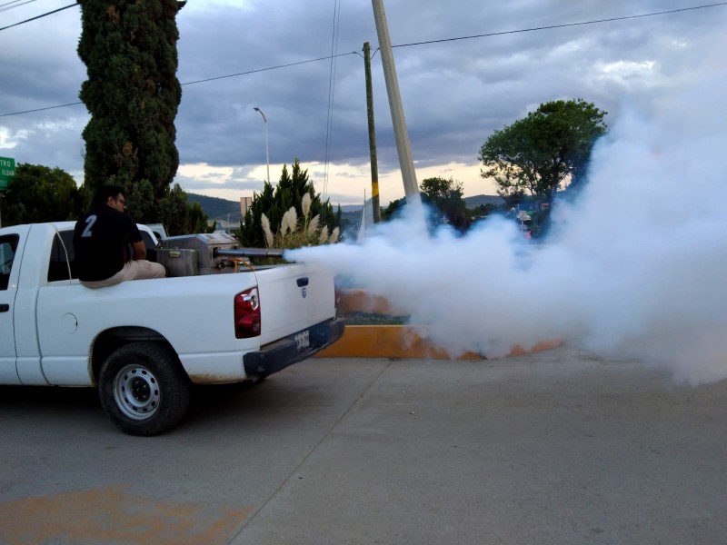 Sin casos de dengue en la entidad: SSO