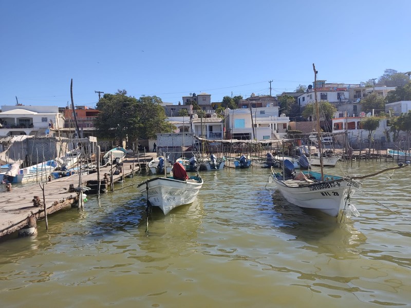 Sin certidumbre de créditos a pescadores en Guasave este 2023