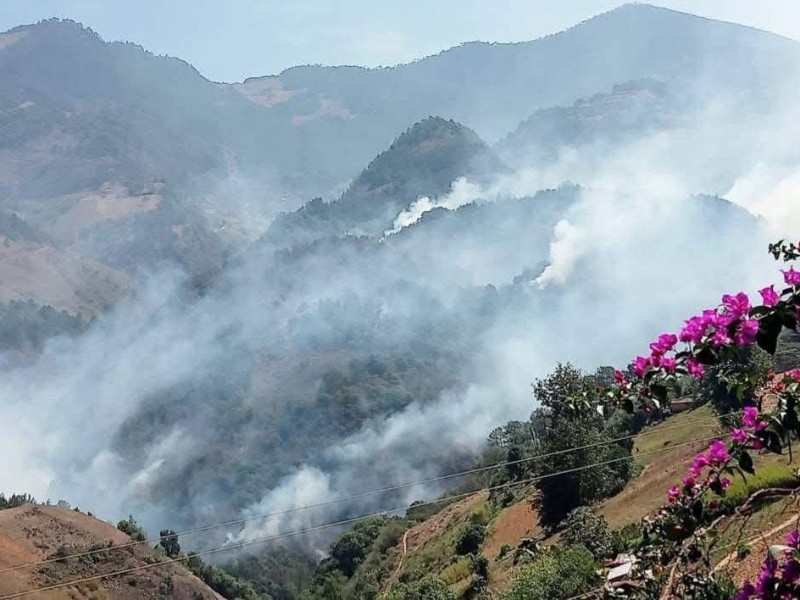 Sin control incendio forestal en San Juan Cuautla