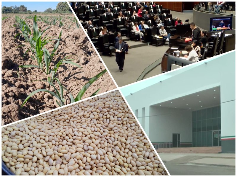 Sin créditos ni respaldo, el campo mexicano se hunde