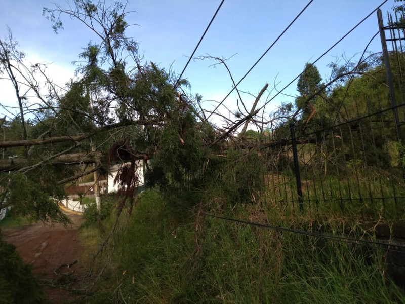 Sin daños graves por fuertes lluvias en Xalapa este martes