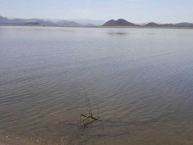 Sin definir agua para siembra de trigo en el Valle del Mayo