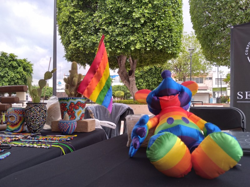 Sin discriminación ni expresiones homofóbicas; León recibió primera Feria LGBT