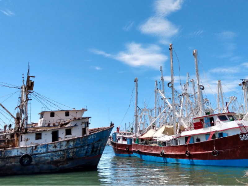 Sin fecha para entregar apoyo de Bienpesca