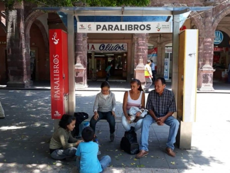 Sin funcionar paralibros en Zamora