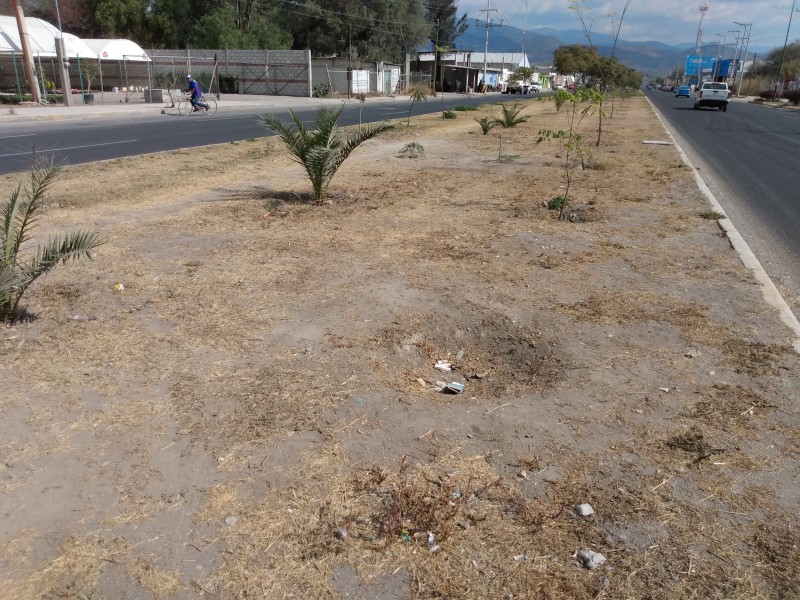 Sin herramientas trabajadores atienden parques y jardines