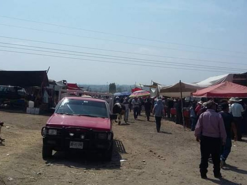 Sin importar restricciones se instala tianguis ganadero en Villa Alta