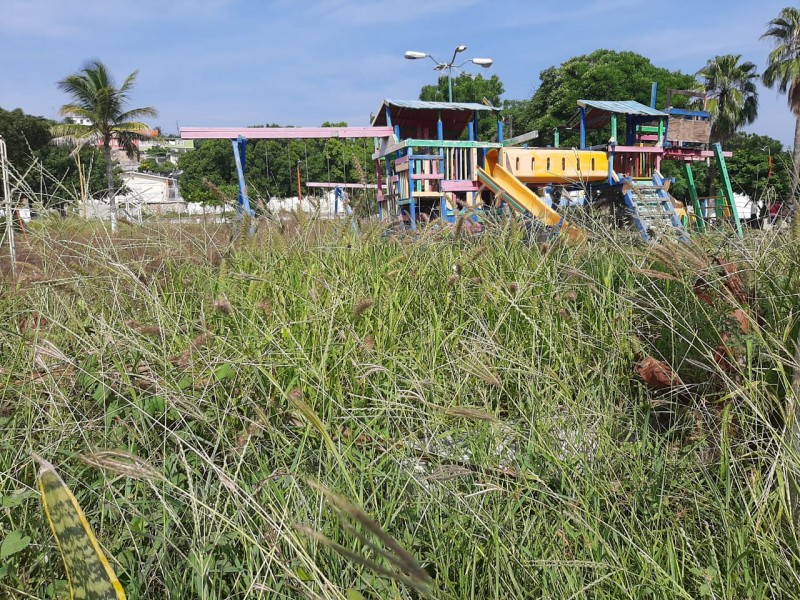 Sin mantenimiento ni atención se encuentran parques de Salina Cruz