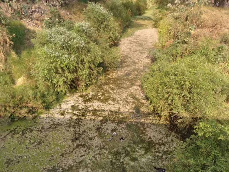 Sin mantenimiento y atención río Jiquilpan