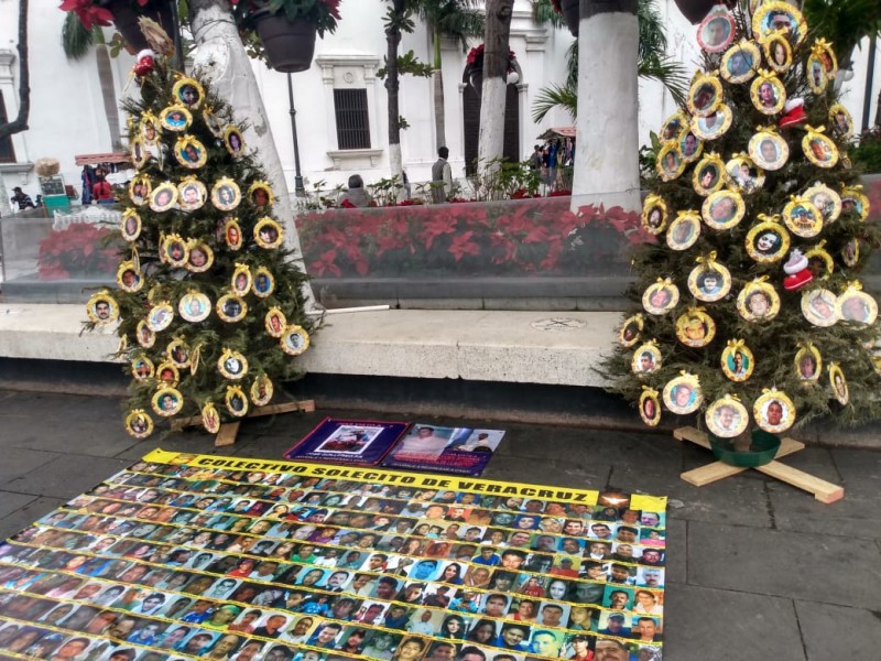 Sin nada que festejar, colocan árbol de navidad Colectivo Solecito