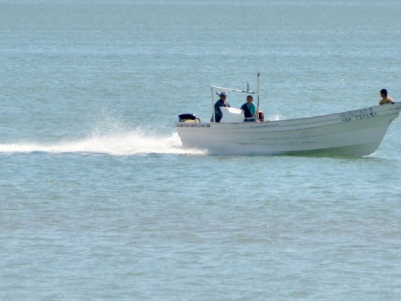 Sin plan de acción en problemática Alto Golfo