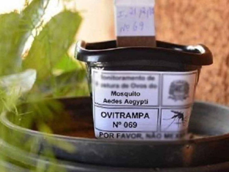 Sin presentarse casos de dengue en Hermosillo