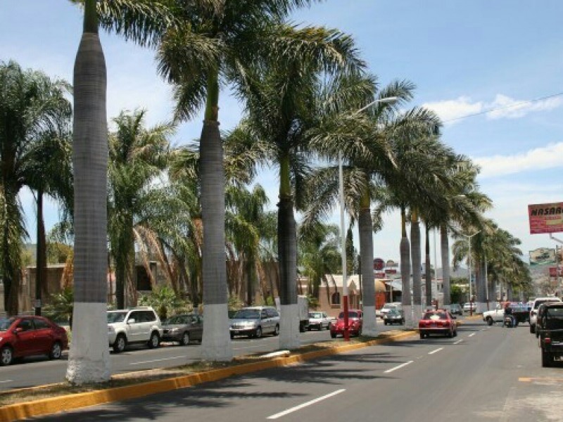 Sin problema de aplicación recurso de la Jacarandas