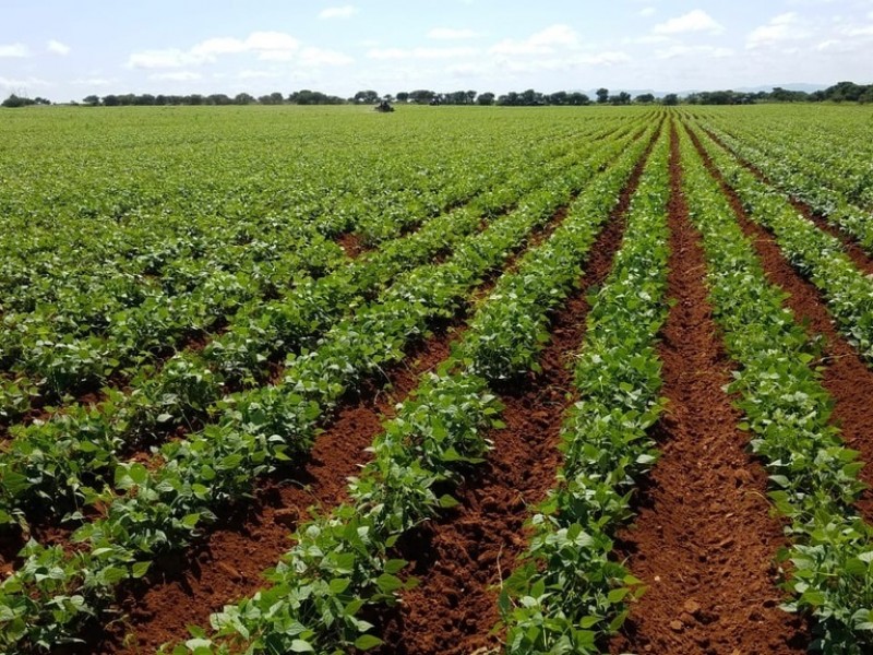 Sin proyectos de tecnificación no bajarán recursos de Agua Saludable