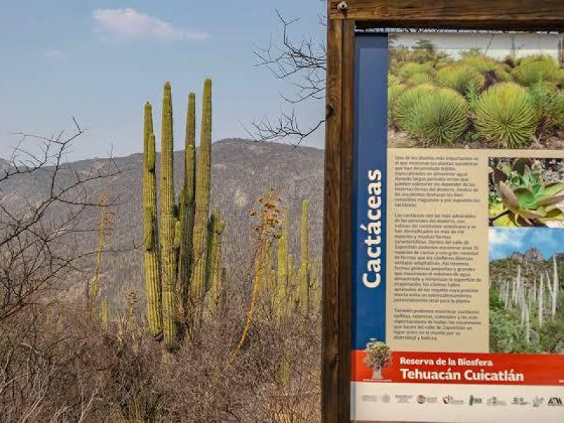 Sin reabrir sitios turísticos de la Reserva