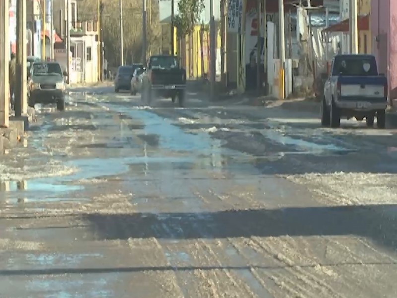 Sin reporte de incidentes por heladas provocadas por bajas temperaturas