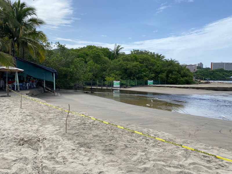 Sin reporte de salida de cocodrilos en playa Linda